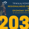 Konsultacje społeczne projektu programu pn. „Regionalny Program Rozwoju Ekonomii Społecznej w Województwie Małopolskim do 2030 roku.”
